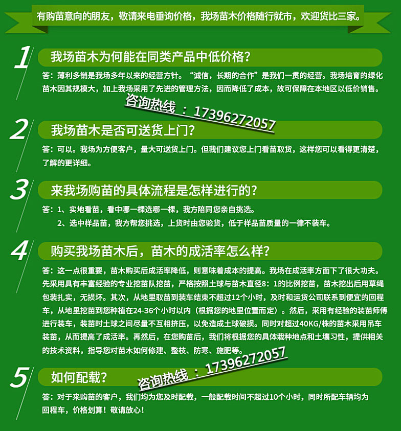 名川园艺场苗木购买流程及细节_苗木批发电话_苗木报价_绿化采购_苗圃基地_贵州花木_名川园艺场