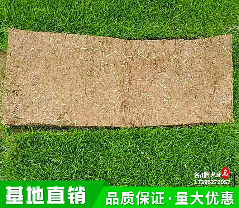 绿化工程用草坪_2021贵州园林绿化苗木批发基地报价_贵州花木苗圃直供